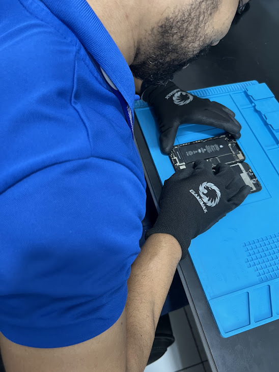 IMG_1305